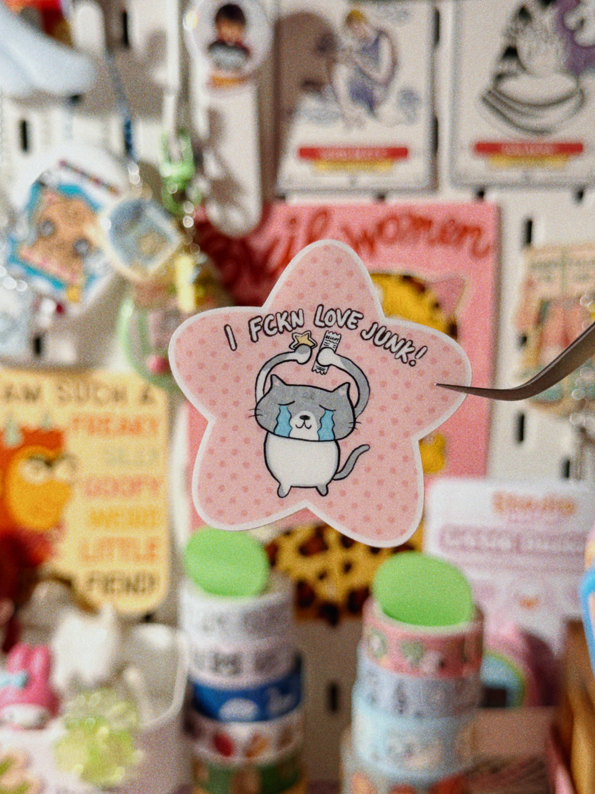 Fucking Love Junk